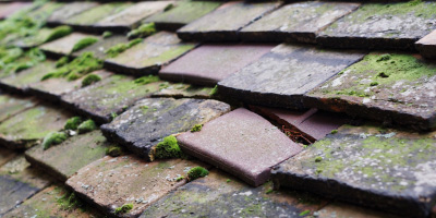 Bragenham roof repair costs